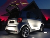 Vorstellung fortwo forfour 2014 Sandro